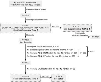 Association of white matter hyperintensities with cognitive decline and neurodegeneration